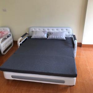 Giường Gấp Gọn Thành Ghế Sofa Giường Sofa Gấp Gọn Giường Đa Năng,Khung Thép Cường Lực