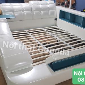 Giường Ngủ Massage Đa Năng CEN-GM05
