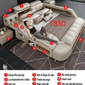 Giường Ngủ Massage matxa Nhập Khẩu Đa Năng CEN-GM32